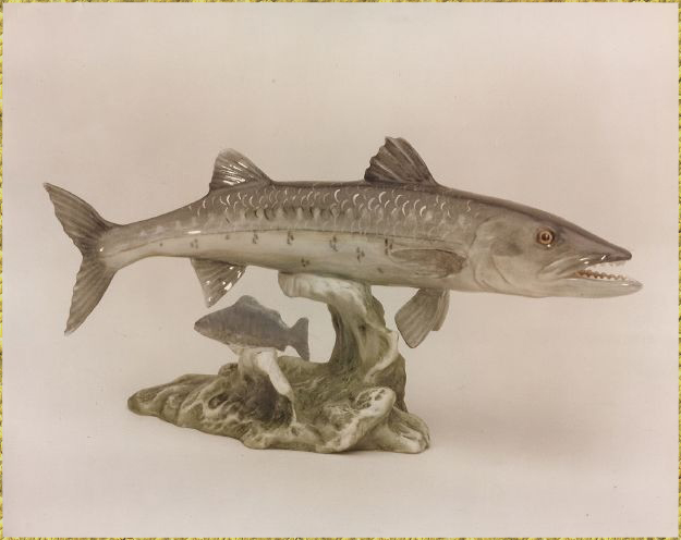 Barracuda Miniature